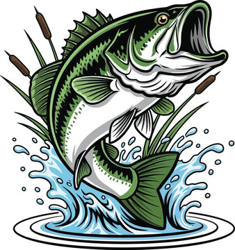 Colorful jumping bass fish illustration with splashing water, dynamic jumping bass fish illustration, bass jumping out of water vector, bass Fish with water vector illustration