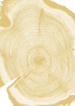 texture de cernes de bille de bois