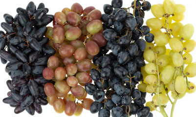 Assorted grape varieties in black, red, and green arranged in rows, isolated on white background. isolated on a white background.