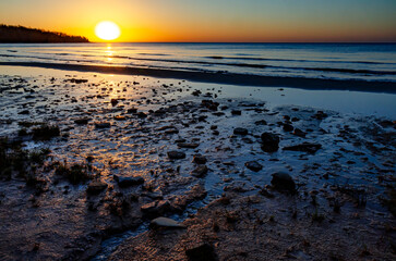 588-10 Cladophora Shore