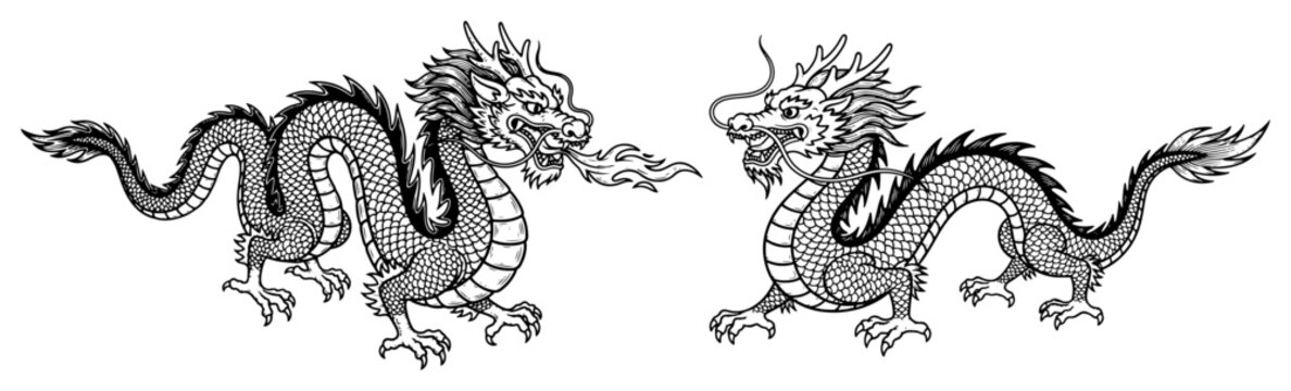 Set of two traditional Chinese dragons breathing fire in black and white line art style