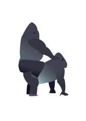 vector illustration of a gorilla riding on another gorilla's back © Kolymagina 