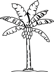 Banana Tree Shadow Silhouette