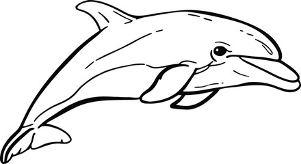 dolphin jumping isolated on white