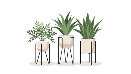 Obraz premium Three different indoor plants in light colored pots sitting on tall minimalist black wire stands for modern interiors.