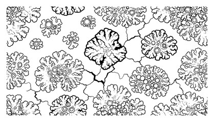 Organic hand drawn pattern featuring microscopic cells mold or lichen textures © Katarzyna