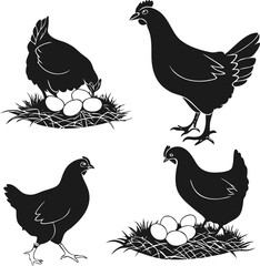 A set of four simple black hen silhouettes, some sitting on eggs, representing poultry, farming, and natural food concepts.  ,white background 
