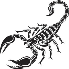scorpion vector illustration