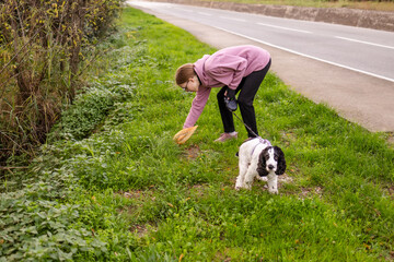 Girl picking up trash while walking a dog spaniel on a grassy path