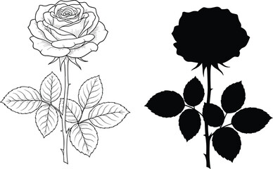 Elegant rose flower outline and black silhouette set, beautiful floral sketch with leaves and thorns isolated on white background, botanical