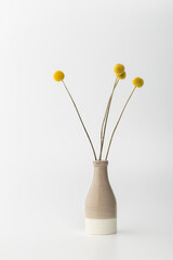 Brown vase holds bright yellow flowers with long stems on a simple white background in a minimal space setting