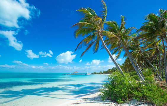 beach and tropical sea