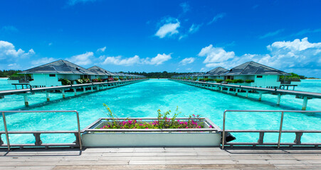 tropical beach in Maldives with few palm trees and blue lagoon