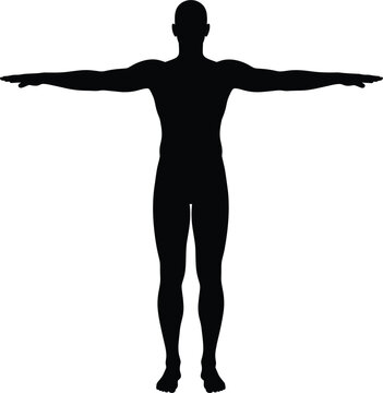 Full Body Male Human Silhouette in T-Pose for Anatomy Study, Fitness Branding, Medical Diagrams, Virtual Reality Character Modeling, and Sport Science Vector Illustrations