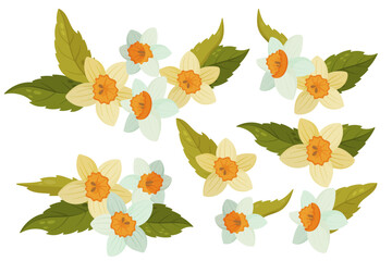 Fototapeta premium Set of yellow and white narcissus flowers with green leaves, flat vector illustration isolated on white background