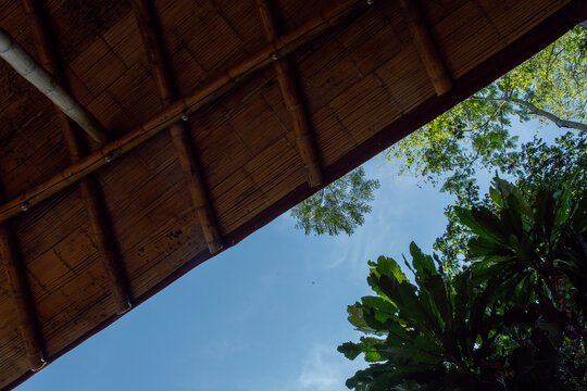 View of Blue Sky and Lush Green Foliage From Beneath a Roof