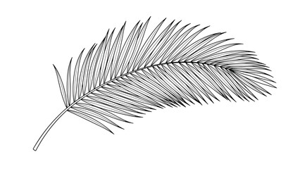 Intricate black and white engraving of a single palm frond leaf highlighting the detailed linear texture of each thin leaflet.