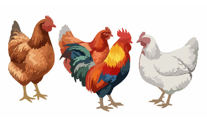 Fototapeta premium Hand-Drawn Watercolor Chickens - Brown Hen, Red Hen, Rooster, White Hen for Farmhouse Decor