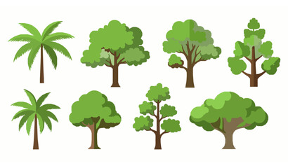 Modern flat tropical trees vertical set isolated on white background for infographic and advertising design © Naimur