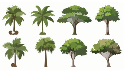 Realistic tropical trees vector elements isolated on white background for resort branding and architectural visualization © Naimur