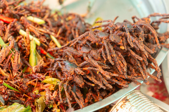 Fried Tarantula spiders for sale as snacks at Skun Market near Siem Reap, Cambodia
