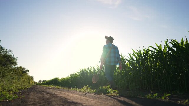 Farmer walking down dirt road passing tall corn field with straw hat in hand bathed in warm sun light rural landscape showing agriculture lifestyle with loyal dog following and worn boot print trail