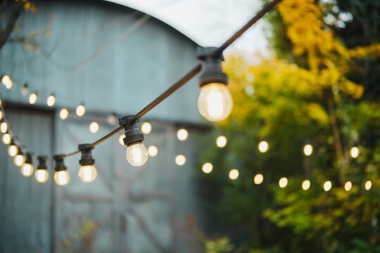Outdoor string lights glowing warmly against blurred background of trees and building