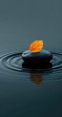 A single orange leaf sits on a balanced, dark stone in rippling water