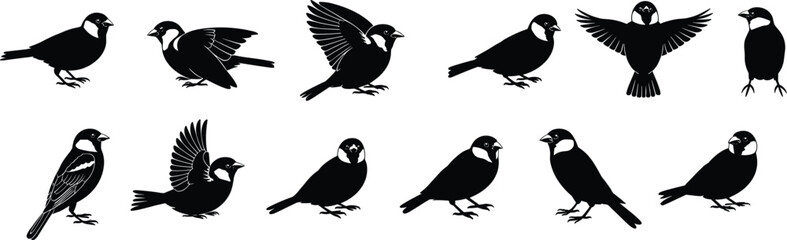 Obraz premium Bird silhouette icons set, flying and perched sparrow poses, avian wildlife shapes, black vector illustration collection for design projects branding