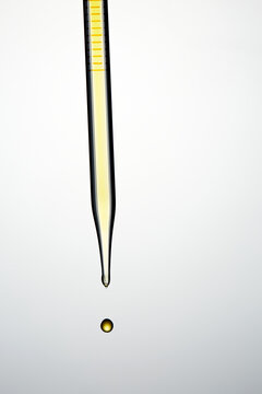 pipette with yellow liquid