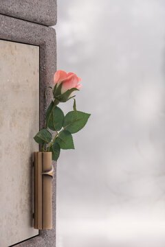 Blumen am Urnengrab, keine Namen, Bl&uuml;ten im Winter, zur kalten Jahreszeit Trauern