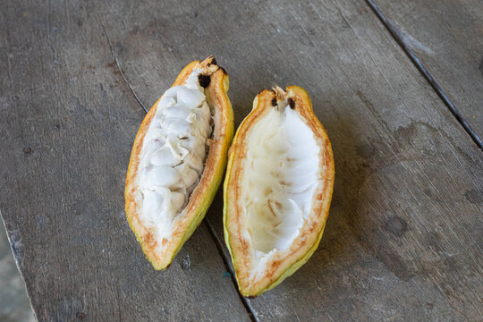 Fresh Cacao Pod Halved to Show Inner Seeds