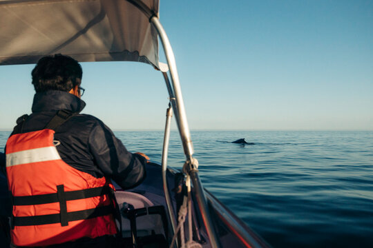 Boat captain doing whale watching