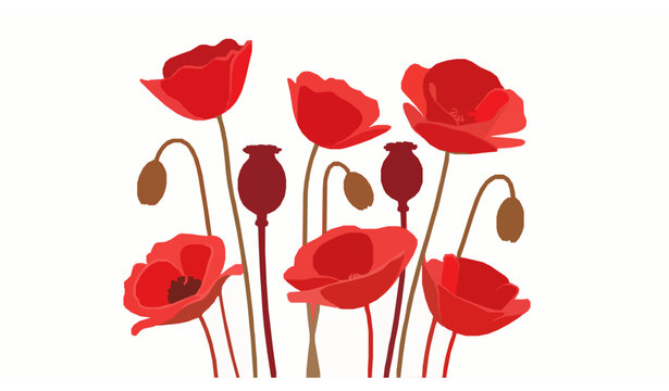 Modern abstract poppy flower vector background illustration