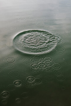 Raindrop ripples spreading on a calm water surface
