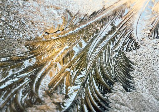 Frost Patterns on a Window During Winter Morning Light