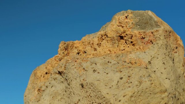 Pyroxene Phenocrysts, crystal.  Picrite basalt. Summit ankaramite, Kula Volcanics. Haleakalā (East Maui Volcano), shield volcano. Haleakalā National Park, Hawaii