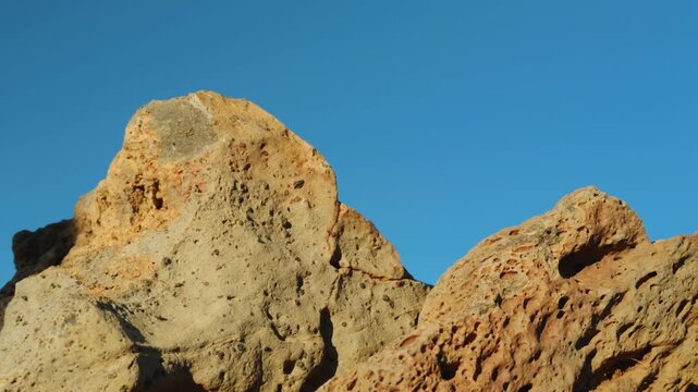 Pyroxene Phenocrysts, crystal.  Picrite basalt. Summit ankaramite, Kula Volcanics. Haleakalā (East Maui Volcano), shield volcano. Haleakalā National Park, Hawaii