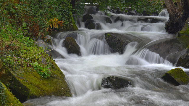 Rapids on the Bai&ntilde;a River, Baiona, due to heavy winter rains.