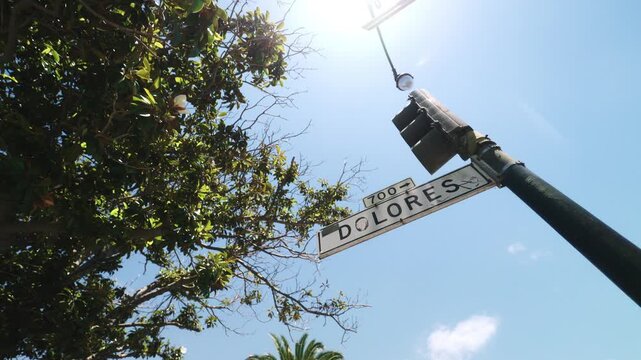 A street sign that says, Dolores. on a sunny day with a tree behind it. San Francisco, California.