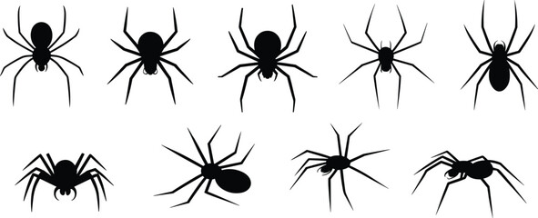 Black spider silhouette vector set with different poses, spooky Halloween insect icons, creepy arachnid collection for horror decoration design, isolated on white background.