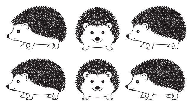 Set of adorable black and white cartoon hedgehog illustrations in diverse poses, ideal for children's book designs, educational resources, or charming nature-inspired graphic projects