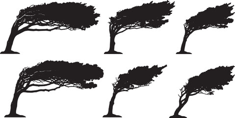 Black Solid Windblown Stormy Tree Silhouettes Set of Six on White Background © Shakeel