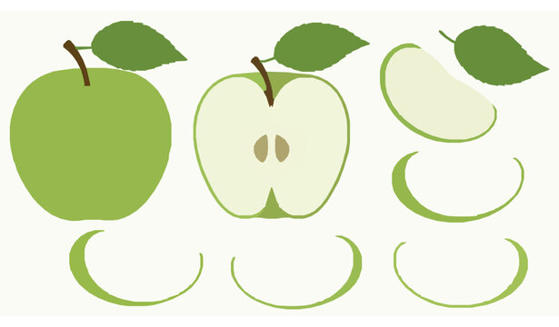 Fresh green apples with leaves vector illustration set