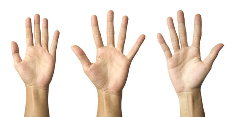 Set of three open human palms showing five fingers. High-quality hand skin texture isolated on grey. Concept of voting, stop sign, or greeting