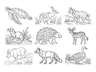 coloring page line art the animal bird and flower black vector bundle