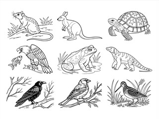 coloring page line art the animal bird and flower black vector bundle