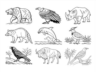 coloring page line art the animal bird and flower black vector bundle