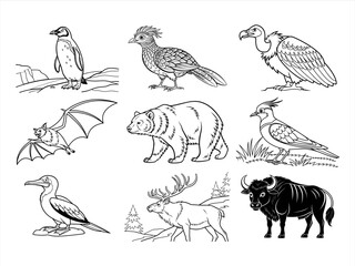 coloring page line art the animal bird and flower black vector bundle