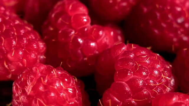 Soft overhead camera motion moves across ripe red raspberry macro texture, revealing glossy surface details and vibrant color. The clean macro background suits food marketing, and abstract design.